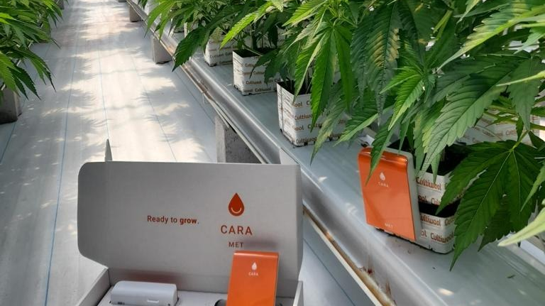 cultiwool-sense-nl[1]